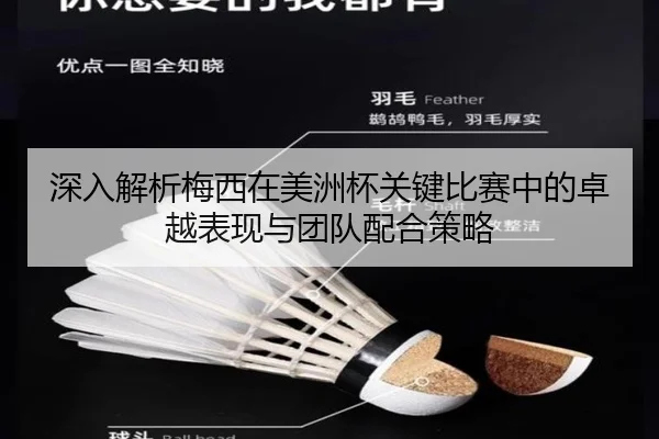 深入解析梅西在美洲杯关键比赛中的卓越表现与团队配合策略